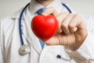 Kardiyolog doktor kırmızı plastik kalp gösterilen.