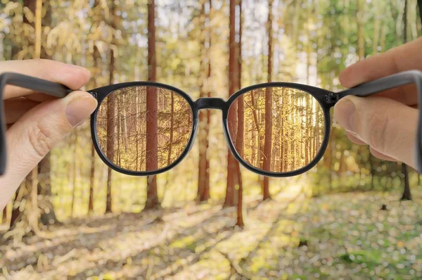 L'uomo tiene gli occhiali in mano. Vista attraverso gli occhiali sulla foresta . — Foto Stock