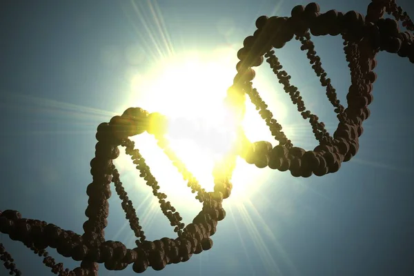 Silhouette of DNA molecule against bright light. 3D rendered ill — Stock Photo, Image