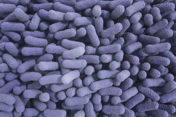 Salmonella bakteri 3D render çizimi. — Stok fotoğraf