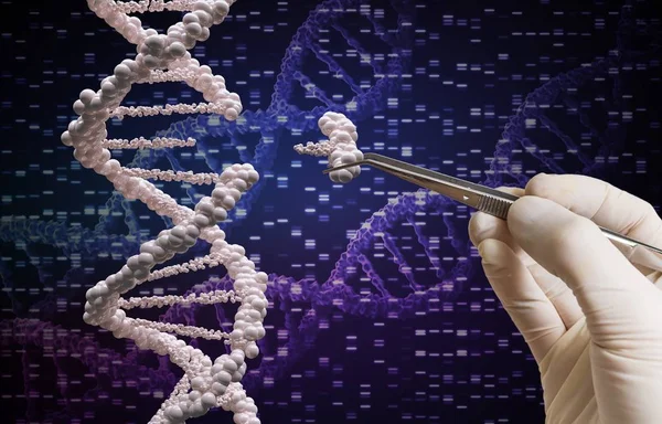 Manipolazione genetica e concetto di modificazione del DNA . — Foto Stock