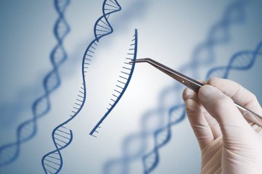Genetik mühendisliği, GDO ve gen manipülasyon kavramı. El 