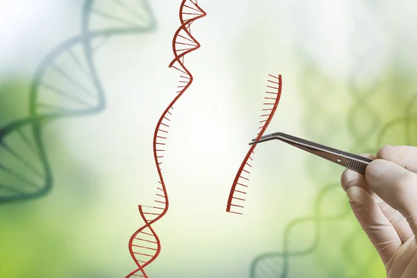 La mano está insertando secuencia de ADN. Ingeniería genética, OMG y —  Fotos de Stock