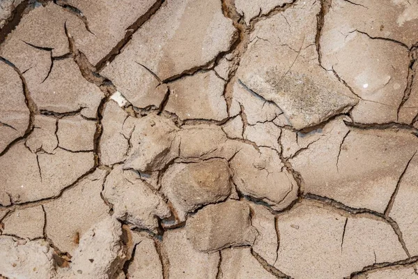 Vista de perto em terra seca e rachada . — Fotografia de Stock