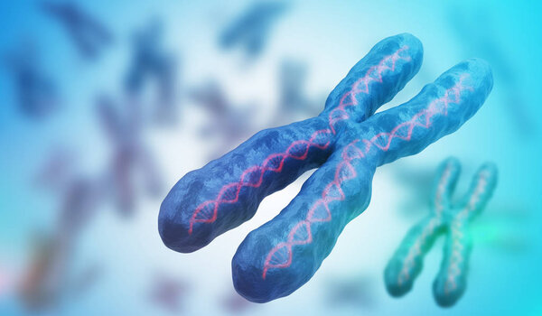 3D rendered illustration of chromosomes. Genetics concept.