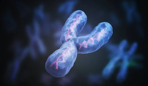 Чоловіча гендерна Y-хромосома. Концепція генетики. 3D-візуалізована невропа — стокове фото
