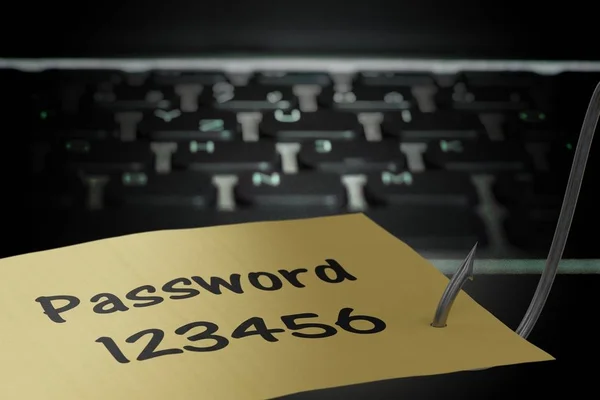 フィッシング コンセプト。ハッカーは、釣りフックでパスワードを盗んでいます。. — ストック写真