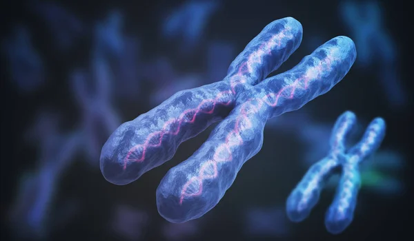 3D-gerenderde afbeelding van chromosomen. Genetica concept. — Stockfoto