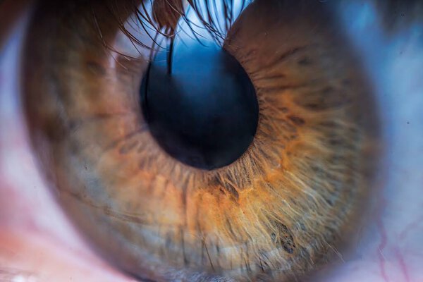 Close-up view on brown human eye.