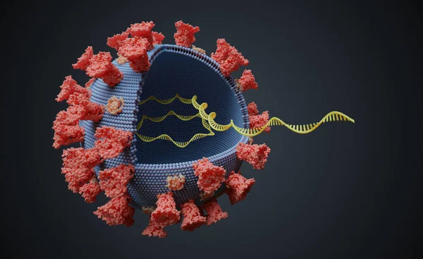 Virus Con Molécula Arn Dentro Concepto Genética Viral Ilustración Renderizada — Foto de Stock