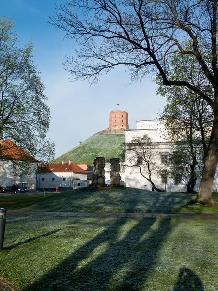 I bakgrunden på kullen är Gedeminas — Stockfoto