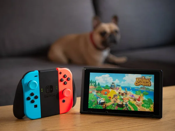 Großbritannien März 2020 Nintendo Switch Joy Con Grip Tier Überquert — Stockfoto