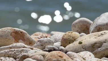 Arka plan deniz meltemi