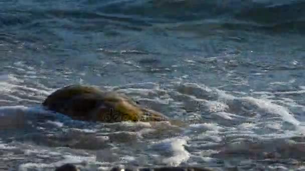 Φόντο με το surf θάλασσα — Αρχείο Βίντεο