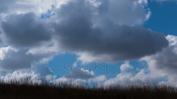 Fechar nuvens flutuantes — Vídeo de Stock