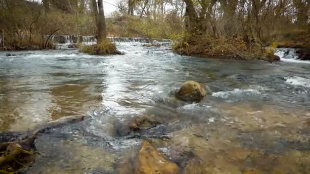 Der Fluss Fließt Durch Den Waldkanal Schnelle Bewegung Des Flusses — Stockvideo