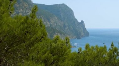 Deniz, dağlar ve yeşil çam oluşan manzara. Çam iğneleri ön planda sallayarak Close-Up.