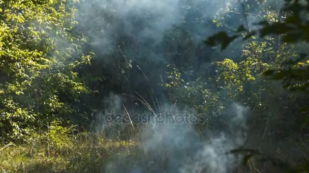 2,943 Peek Videos, Royalty-free Stock Peek Footage | Depositphotos