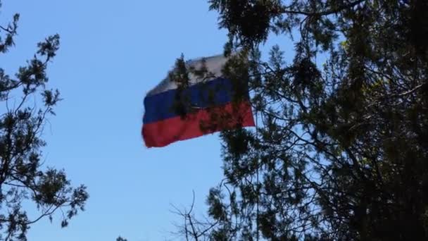 Bandiera di Russia — Video Stock