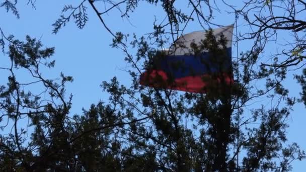 Rusya bayrağı — Stok video