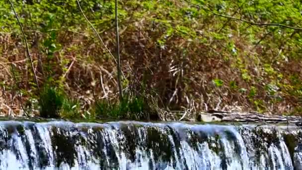 Schwelle für den Fluss — Stockvideo