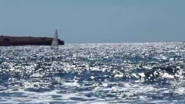 Regatas en el mar profundo — Vídeo de stock