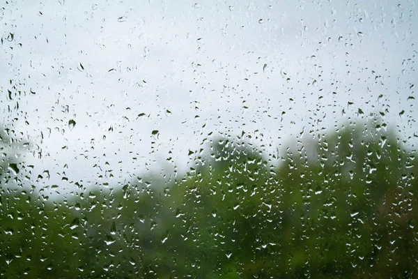 Close-up raindrops on the glass and blurred green trees outside the window. Abstract background with water drops and rainy weather. Template for text with positive emotions and a good mood.