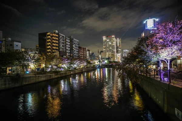 Illuminez Vous Yokohama Horizon Rivière Ooka — Photo
