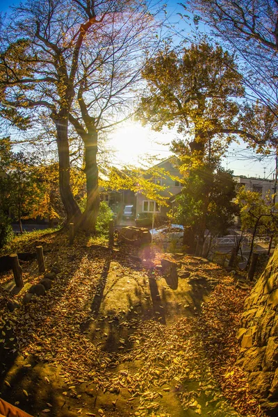 Осенние Листья Руин Замка Сэтагая — стоковое фото