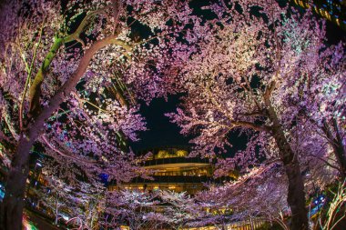 Şehir manzarası, seçici odak