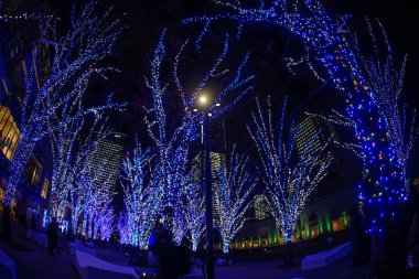 Noel Aydınlatmaları (Minato Mirai, Yokohama)