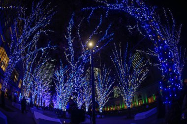 Noel Aydınlatmaları (Minato Mirai, Yokohama)