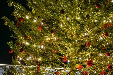 Parlak Noel ağacı (Noel Pazarı)