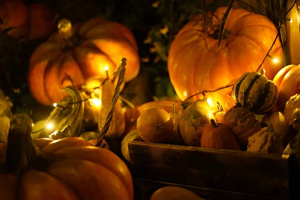 Kép Halloween Jack Lámpa — Stock Fotó