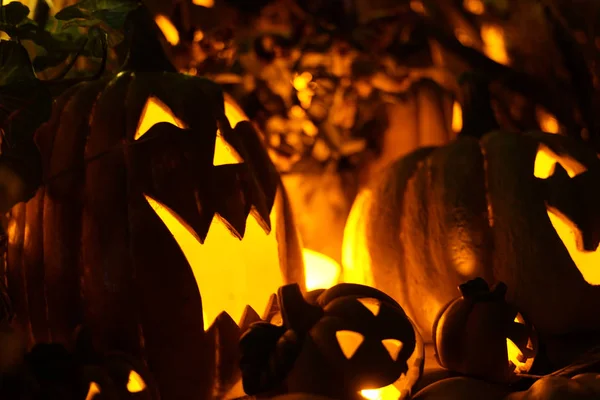 Kép Halloween Jack Lámpa — Stock Fotó