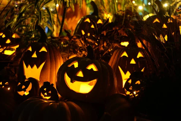 Image Halloween Jack Lantern — Stock Photo, Image