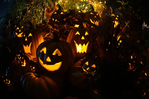 Image Halloween Jack Lantern — Stock Photo, Image