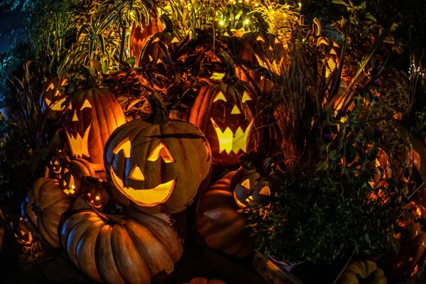 Afbeelding Van Halloween Jack Lantaarn — Stockfoto