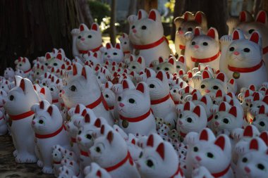 Görüntünün işaretlenmesi (Tokyo Gotokuji)