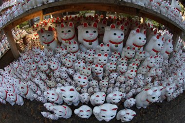 Görüntünün işaretlenmesi (Tokyo Gotokuji)