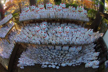 Görüntünün işaretlenmesi (Tokyo Gotokuji)