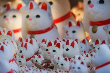 Görüntünün işaretlenmesi (Tokyo Gotokuji)