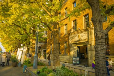 Yokohama 'nın sonbahar yaprakları, Japonya Bulvarı