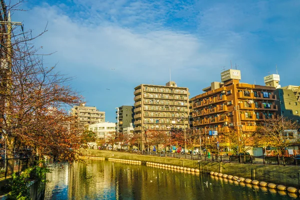 Foglie Autunno Del Fiume Yokohama Ooka — Foto Stock