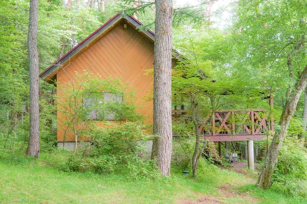 Cottage Image Nestled Forest — 스톡 사진