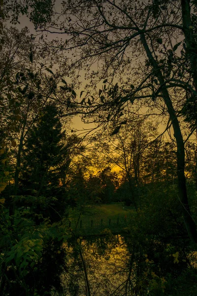 Atardecer Silueta Del Bosque Edad Hielo Sendai Del Bosque —  Fotos de Stock