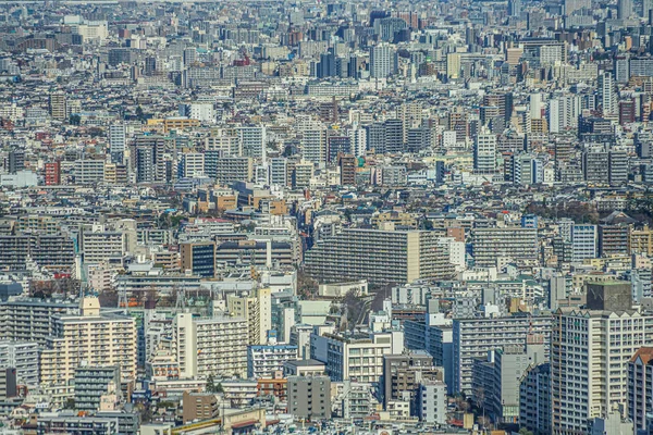Vista Del Horizonte Tokio Desde Plataforma Observación Del Edificio Del —  Fotos de Stock