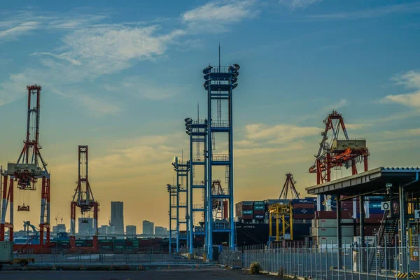 Yokohama Limanı Turna Grubu Akşam — Stok fotoğraf