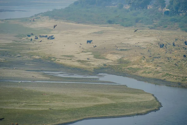 Din India Râul Agra Yamuna Patul Râului — Fotografie, imagine de stoc