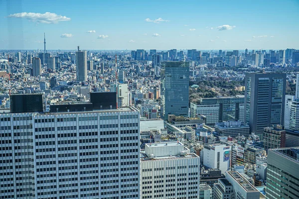 Die Skyline Von Tokio Von Der Aussichtsplattform Des Tokyo Metropolitan — Stockfoto